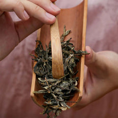 Refill Pack - Eternal - Imperial Pu'erh (140g) - Zen Tea Studio